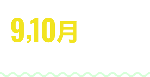 もし今年節税したいなら9,10月が実質最終タイミング