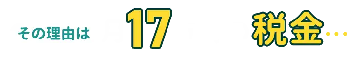 その理由は月17万円の税金…